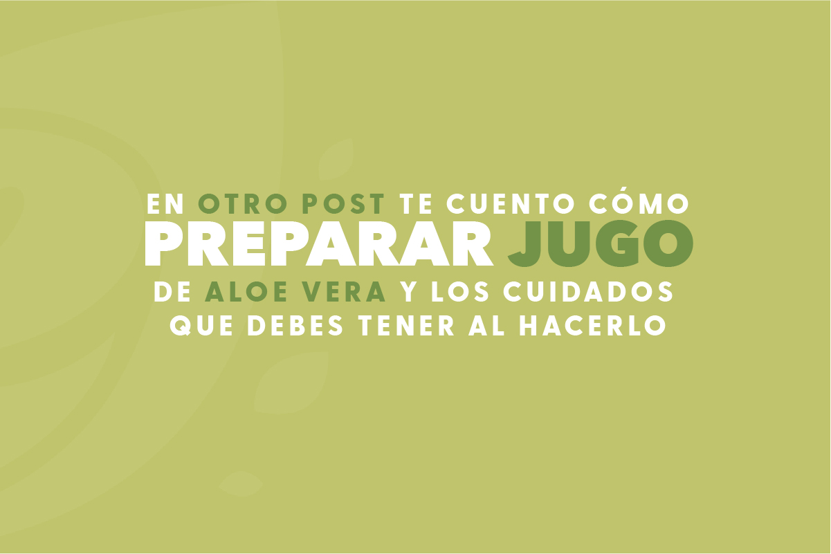 parte4