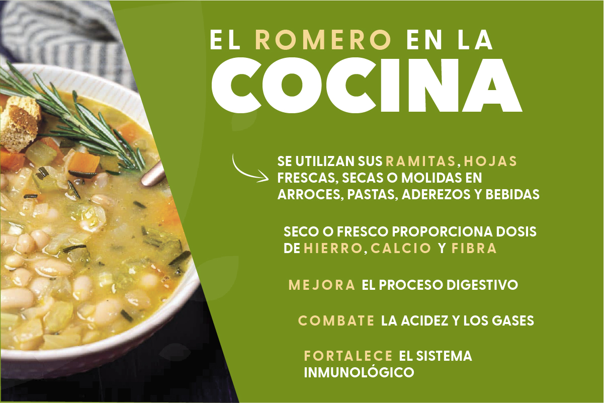 parte1