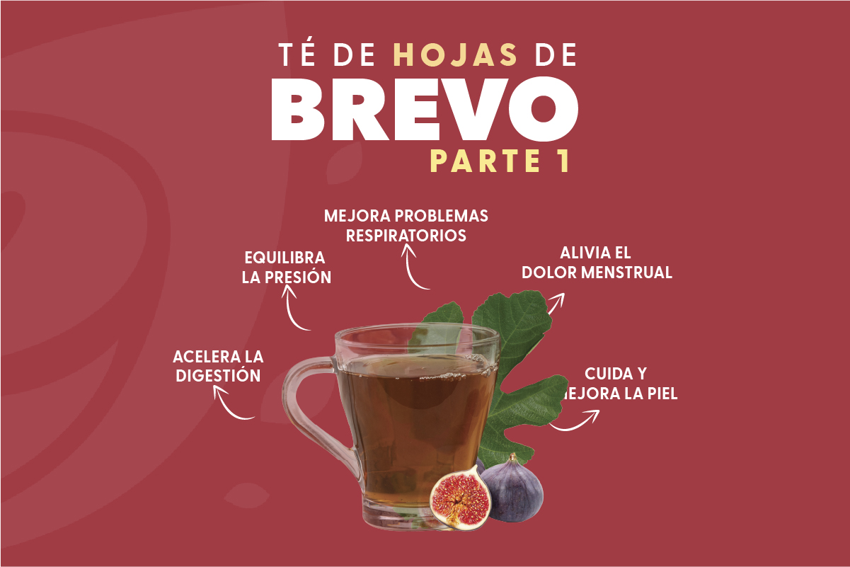 parte1